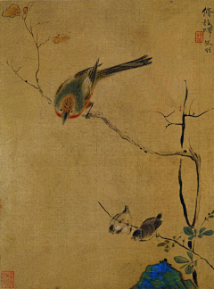 权志龙的小迷妹采集到没骨