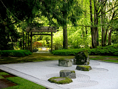 阿噗～采集到庭院