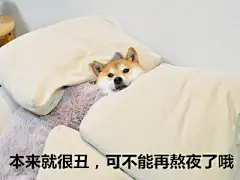 汪星人的表情包，想要获得更多的表情包关注我， 每天会不定时更新哦