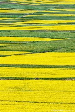 _Red_Yellow采集到图片素材