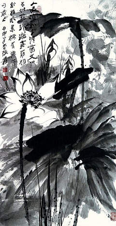 笨笨妞采集到国画