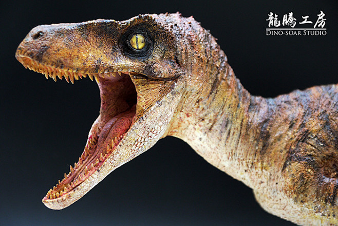 16速龙迅猛龙伶盗龙棕黄色斑纹版淘宝网