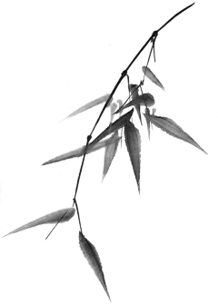 ouyang12166采集到花瓣花朵叶子