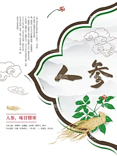 人参海报  - 源文件下载【酷图网】人参海报,高丽参海报,干人参海报,晒干的人参,滋补佳品海报,滋补食材海报,滋补药材海报,中草药海报,草药海报,中药海报,