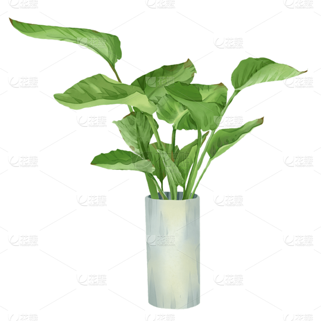 手绘绿叶绿植水彩盆栽元素