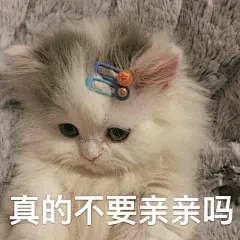 超甜的恋爱必备表情包-第四弹 - 小红书