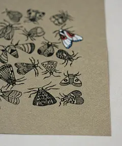 相册详情：昆虫记 - 豆瓣