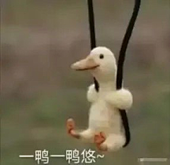 土到极致就是潮⁶⁶⁶采集到哈哈