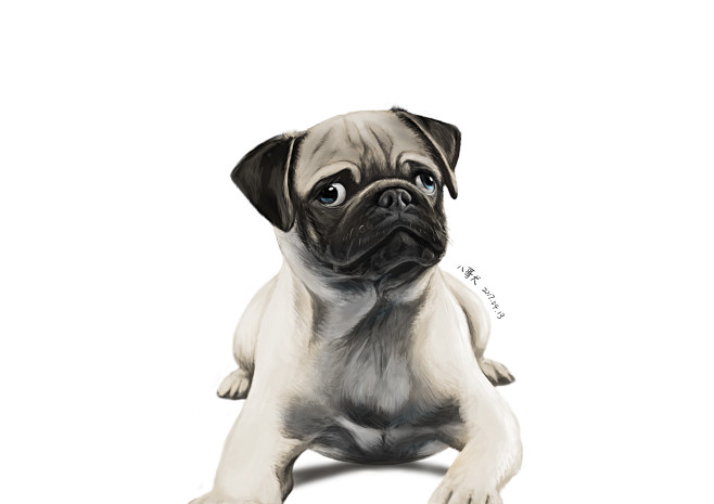 八哥犬帅汪插画