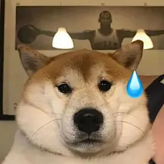 全员流汗表情包 - 发表情 fabiaoqing.com