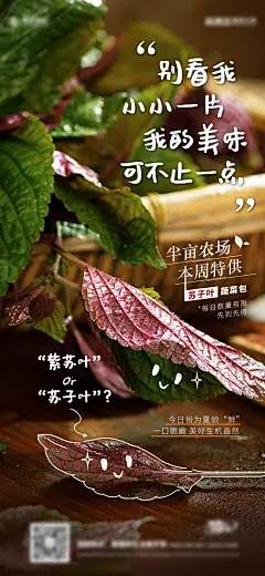 农场宣传海报-源文件
