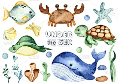 海底生物,鲸,海龟,螃蟹,黄貂鱼,海星,藻类,珊瑚.水彩画的手绘