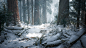 willi-hammes-mawi-redwoodforestpack-v2-winter-screenshot-0007.jpg (1920×1080)