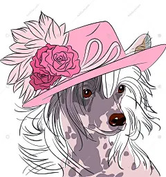 精美手绘水彩小动物插画漫画猫宠物狗时尚头像装饰画矢量设计素材-淘宝网