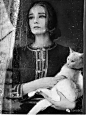 奥黛丽·赫本与猫