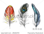 Watercolor feather. Vector illustration