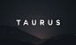 Taurus App Design : Android app for Taurus
