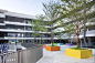 深圳海岸小学

