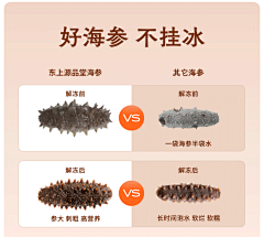 Outsider局外人采集到海参