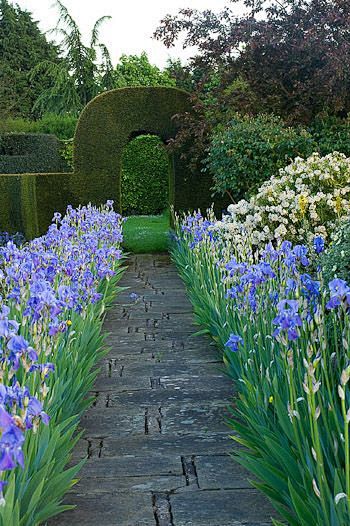 Iris walkway.: 