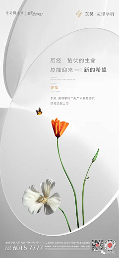 杨美腻呀采集到艺术海报