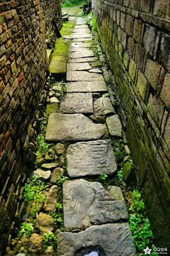 农寺阁洒采集到美丽乡村 其他