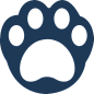 猫爪