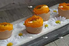 花香组合 花壁纸 复活节 茛 春天 橙色的 花束 花卉背景 花