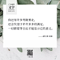 了不起的文字100句丨2019收藏版 : 职场、情感、成长、梦想和生活。