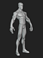 Stylized Average Anatomy Blockout