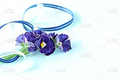 紫色,紫罗兰,三色紫罗兰,花束,周年纪念,请柬,贺卡,无忧无虑,彩色背景,浪漫