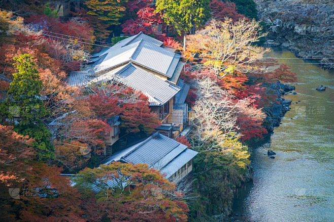 在岚山秋天的河流和森林的顶视图
