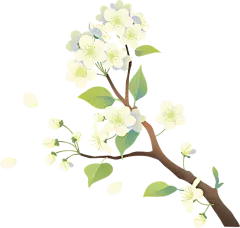 桃李教师节插画元素李子花