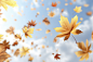 dry-autumn-leaves-floating-with-sky-background