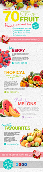 Summer Fruit Promotion (Checkers Supermarket) : Some elements of a campaign to promote Checkers' large range of fresh fruits during the summer.