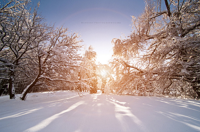 美轮美奂的冬景银妆素裹皑皑白雪的冰天雪地美景