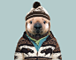 Sea Otter (Pup) - Enhydra Lutris