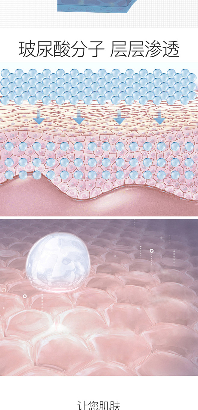 _【素材一细菌 分子  细胞 真菌  病...