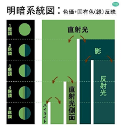 黧黧黧黧黧采集到光影