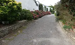 巷子里铺满了植物和绣球花_5128722535