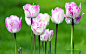 t01b27f381ab947cbe9
