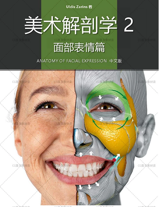 面部表情艺用解剖 头部脸部骨骼肌肉造型 动漫原画插画参考素材-淘宝网-花瓣网