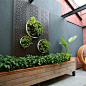 Outdoor Design Ideas, Remodels & Photos with a Vertical Garden