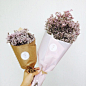 捧花#植物##壁纸##小清新##花朵#