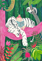 bibliolectors:  Adventure through the jungle / De aventuras por la selva (ilustración de Simona Ciraolo)