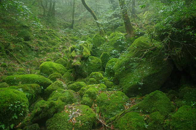 场景素材