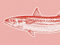Mackerel