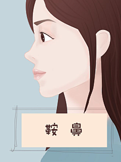 医美插画采集到医美鼻型,鼻型
