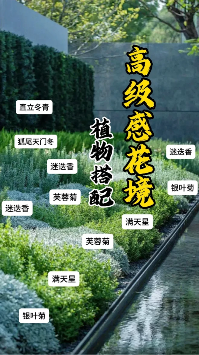 【高级感花境植物搭配】 - 小红书