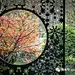 【案例】院藏山水之境 再造水韵桃源____蓝光.成都.公园华府
